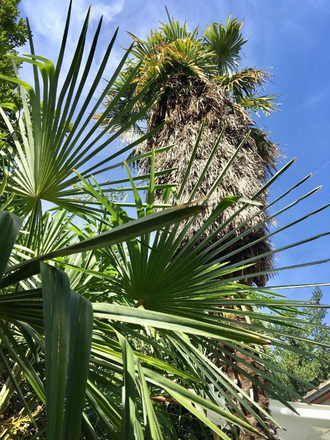 Palmera 모스타르 외부 사진